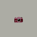 Pink camera metal sticker